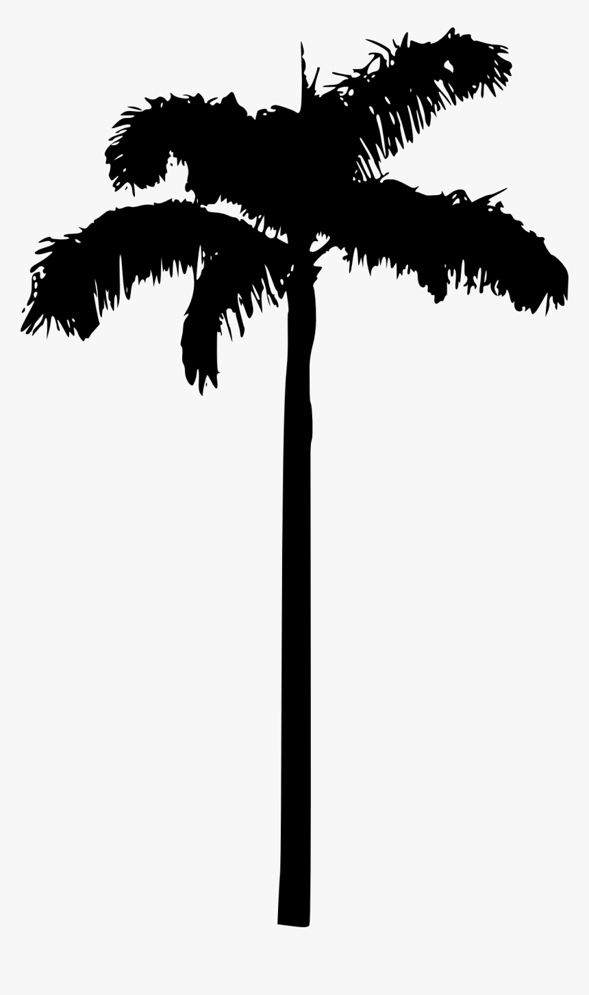 Palm Tree - Free Palm Tree Transparent Background, HD Png Download, Free Download