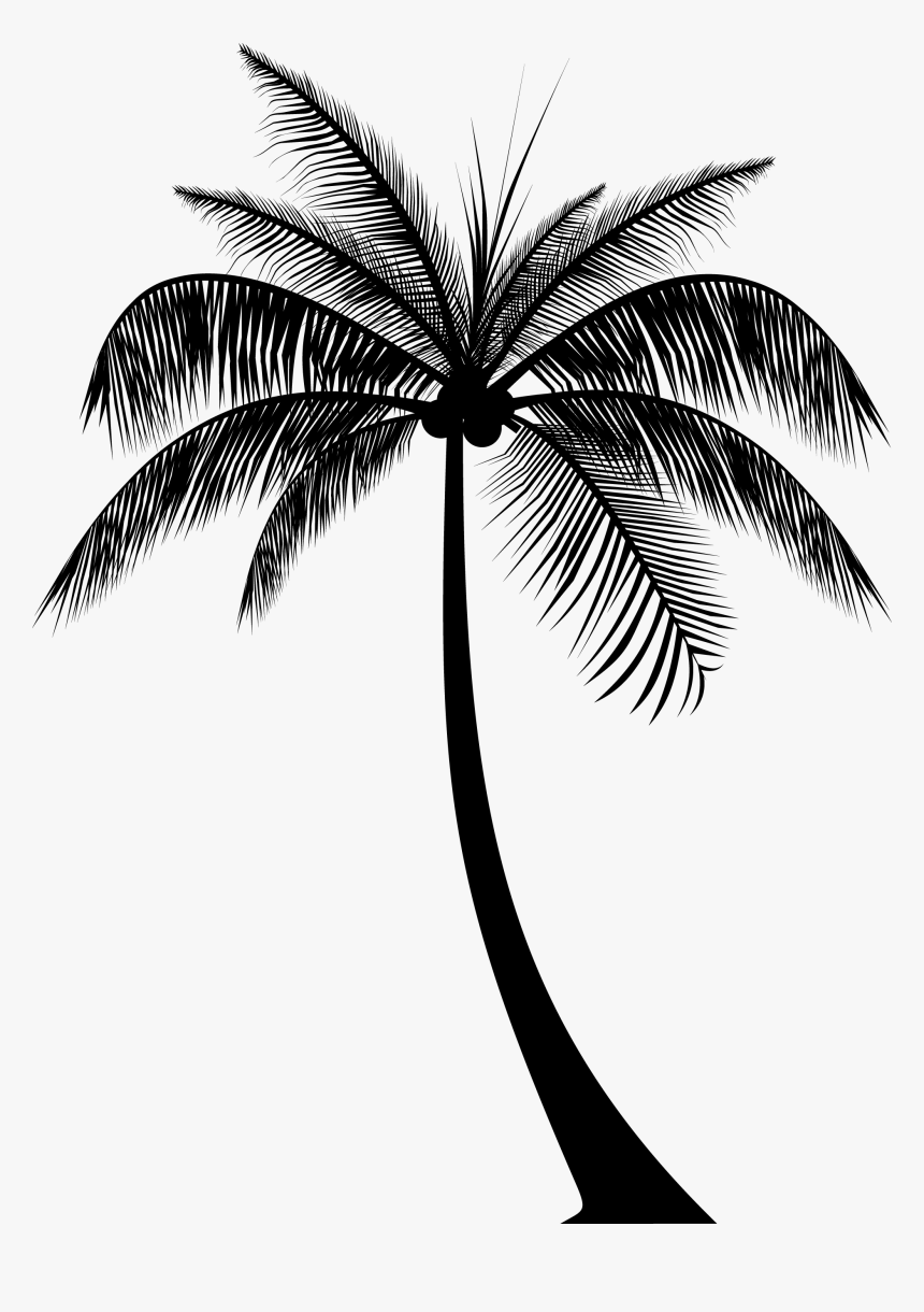 Transparent Palm Tree Silhouette Png - Silhouette Palm Trees Png, Png Dow.....
