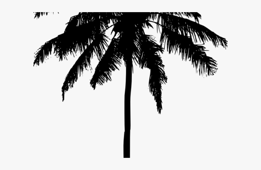 Palm Tree Silhouette Png - Hd Palm Tree Silhouette, Transparent Png, Free Download