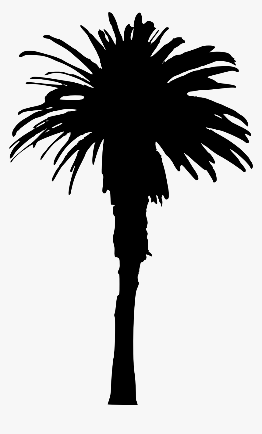 Single Palm Tree Silhouette, HD Png Download, Free Download