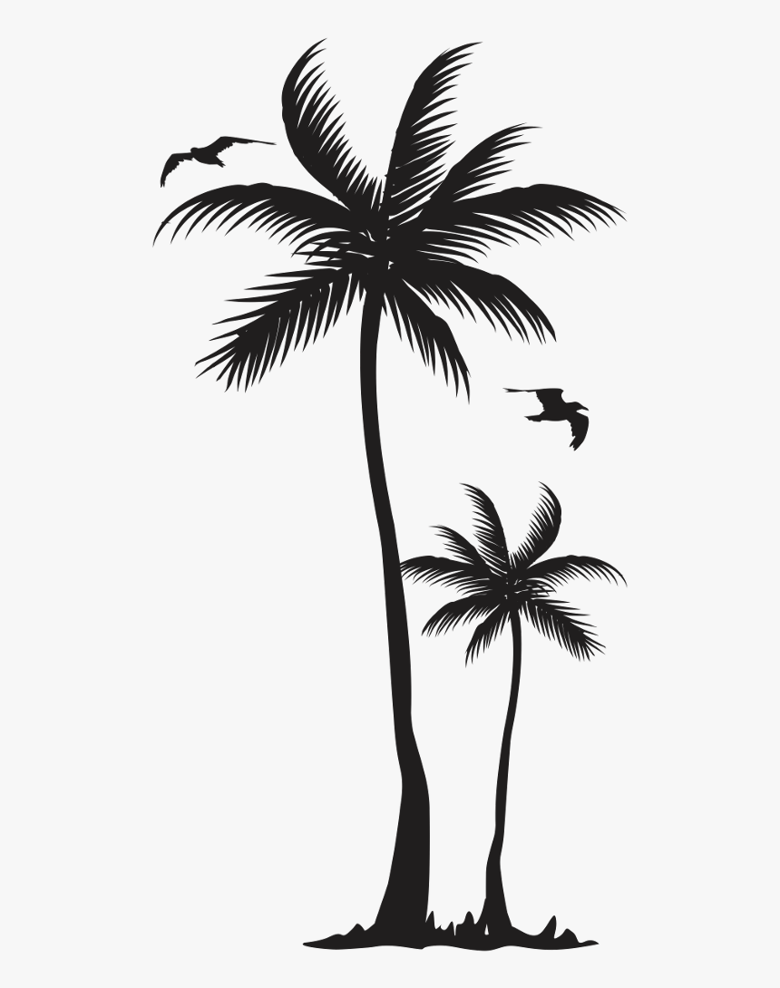 #ftestickers #birds #palmtree #tree #silhouette - Desenho De Coqueiro Para Tatuagem, HD Png Download, Free Download