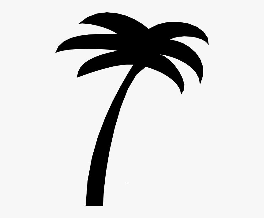 Transparent Palm Trees Clip Art - Free Palm Tree Line Art, HD Png Download, Free Download