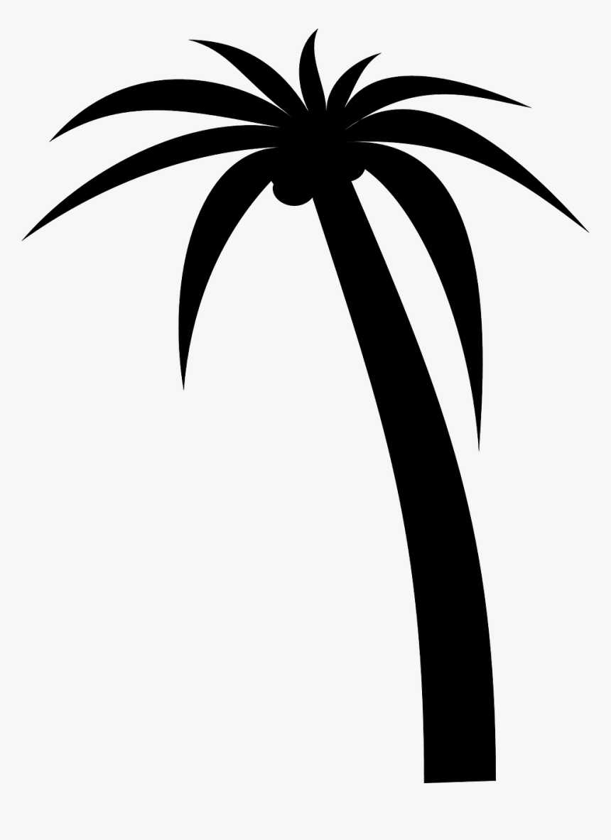 Clipart - Palm Tree - Palm Tree Clipart Vector, HD Png Download, Free Download