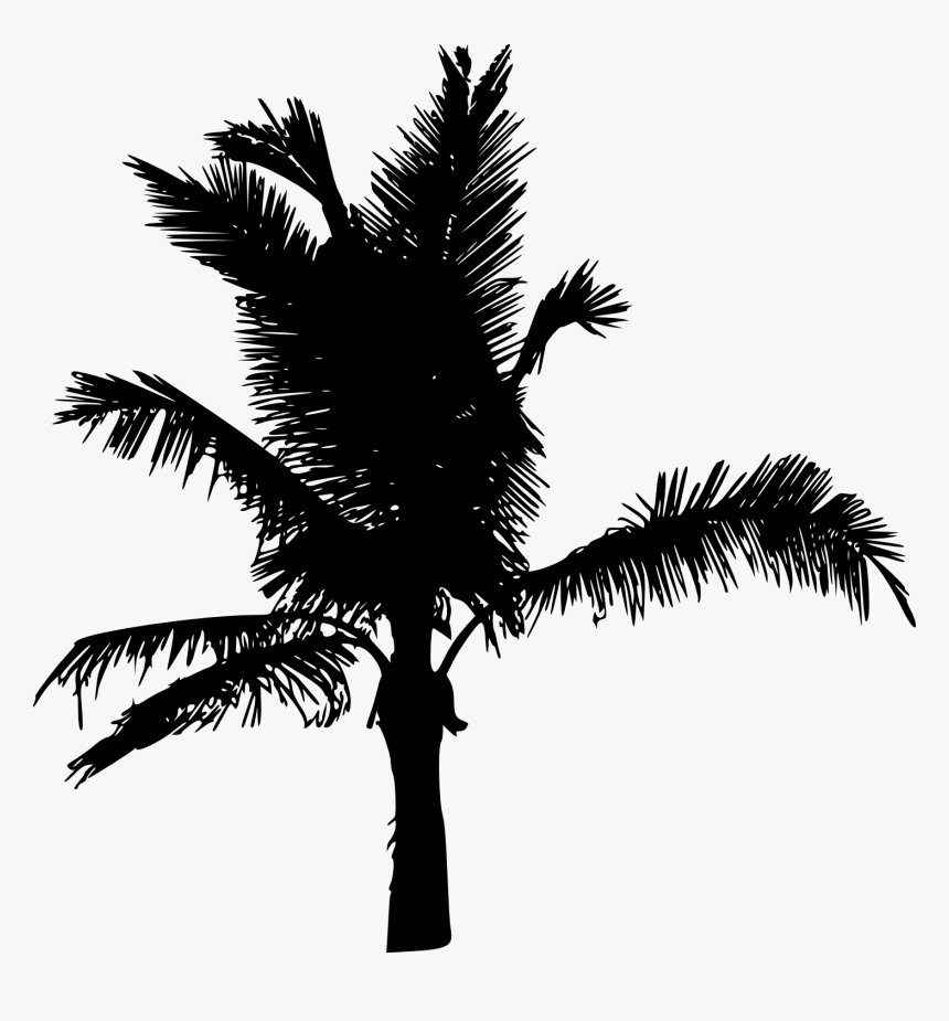 20 Palm Tree Silhouette Vol, HD Png Download, Free Download