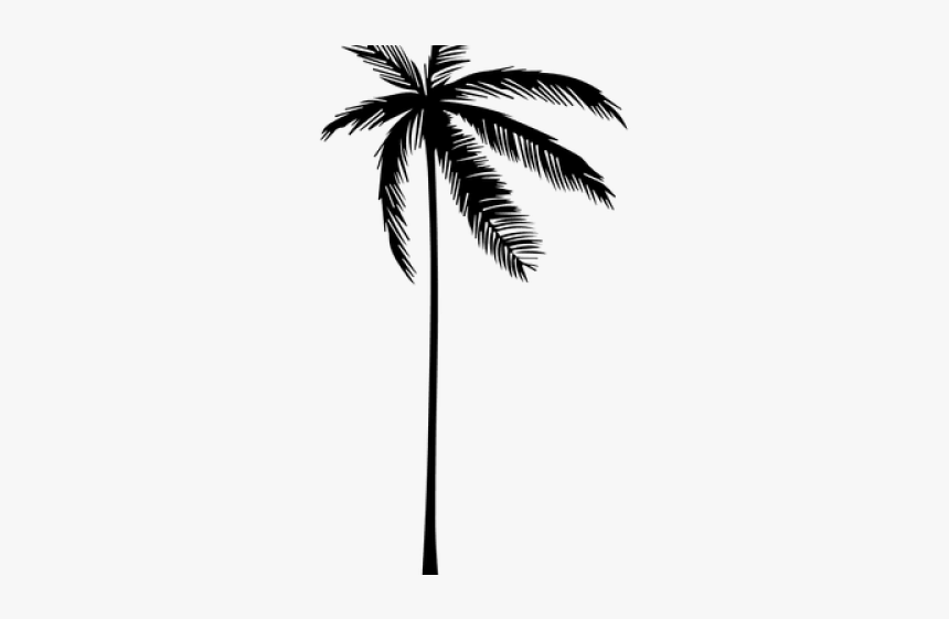 Palm Tree Silhouette Png - Vector Png Palm Tree, Transparent Png, Free Download