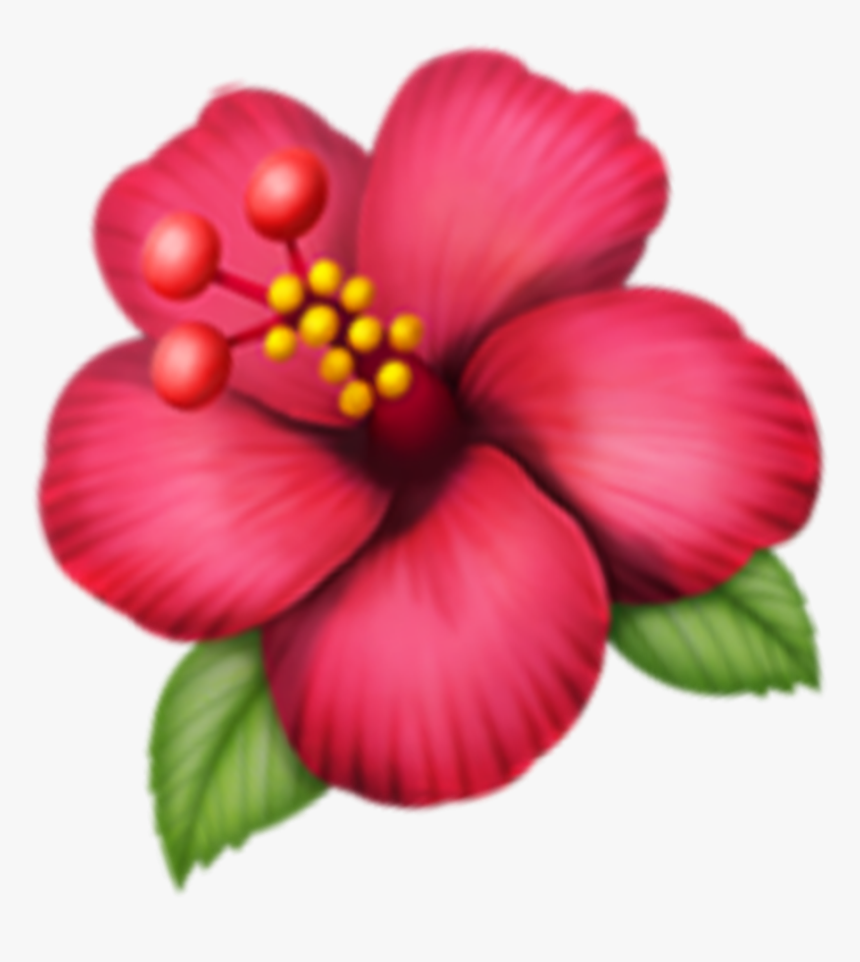 Hawaiian-hibiscus - Hawaiian Hibiscus, HD Png Download, Free Download