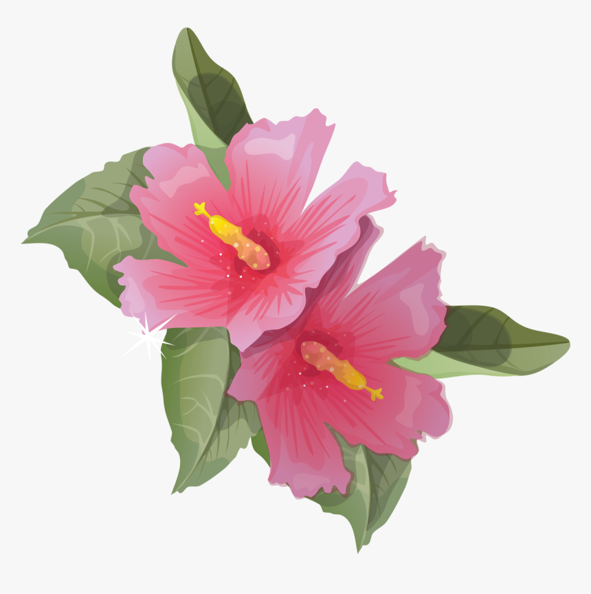 Hibiscus Animation Flower Clip Art - Hibiscus Flower Transparent Background, HD Png Download, Free Download