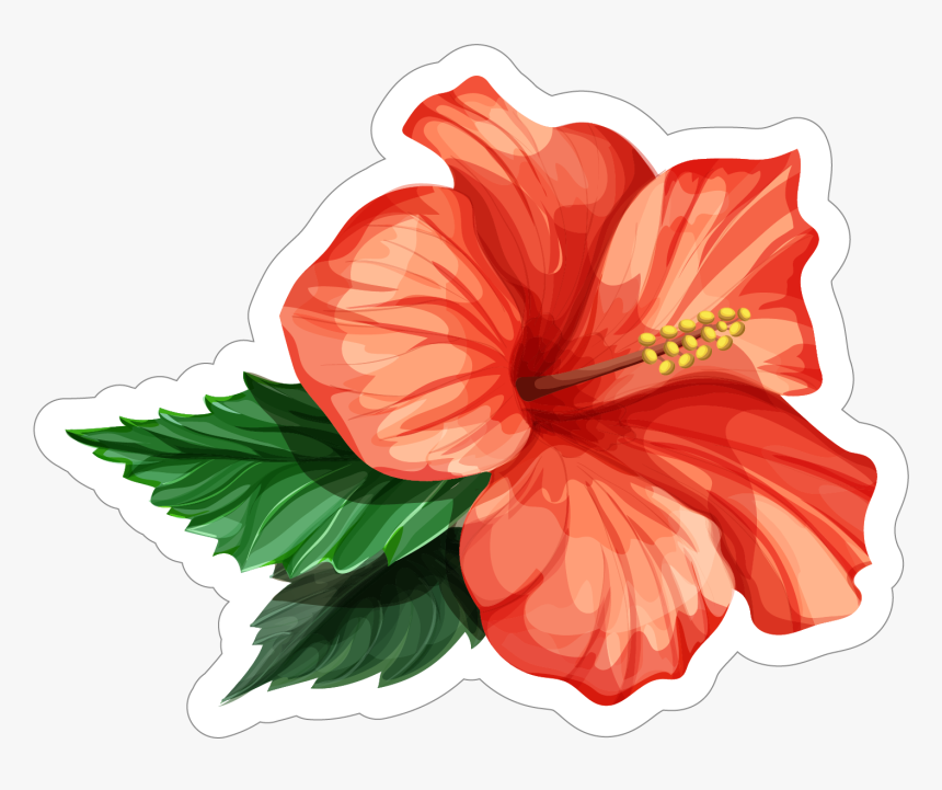 Transparent Hibiscus Flower Png - Realistic Hibiscus Flower Drawing, Png Download, Free Download