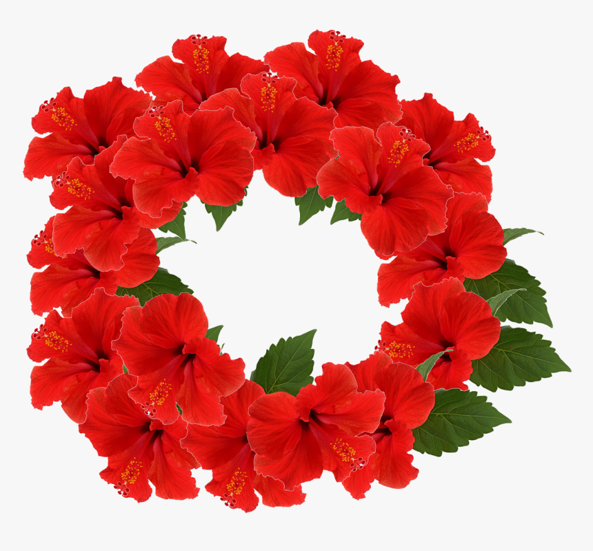 Hibiscus, Crown, Flower, Crown Flower, Red, Decoration - Hibiscus Flower Crown, HD Png Download, Free Download