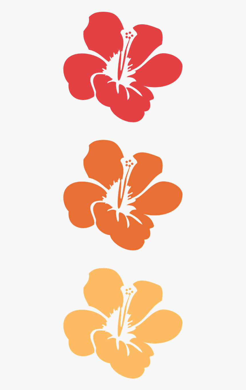 Png Flor Tropical, Transparent Png, Free Download