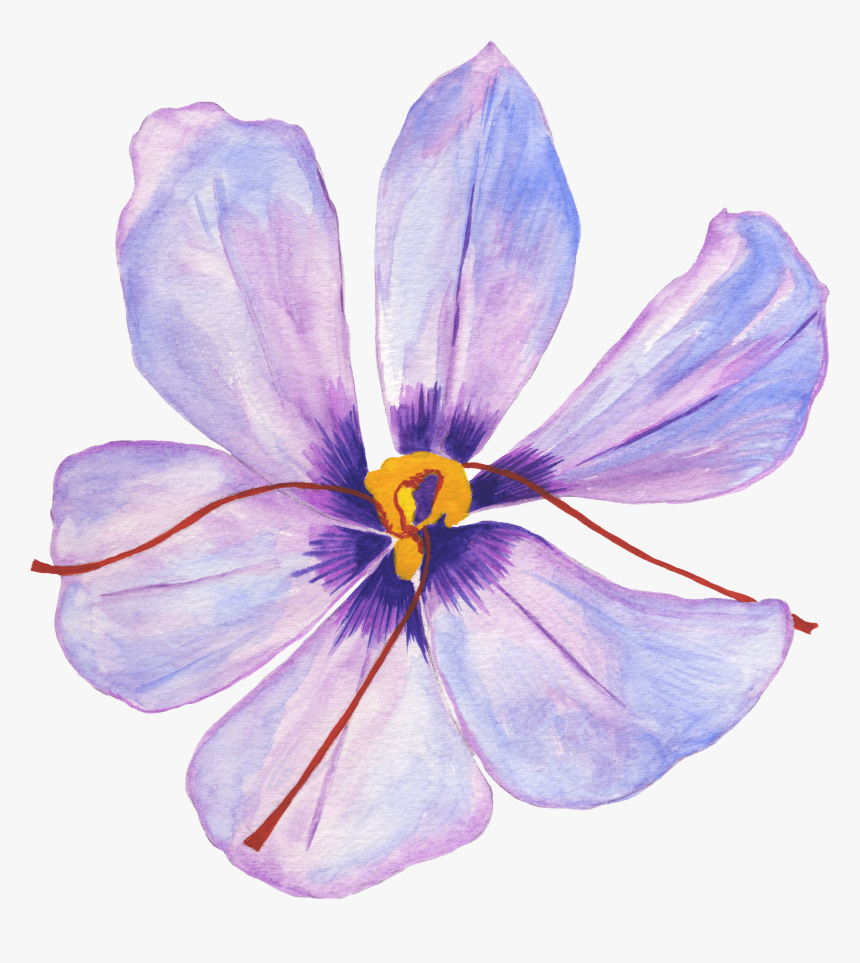 Lilac Hibiscus , Png Download - Lilac Hibiscus, Transparent Png, Free Download