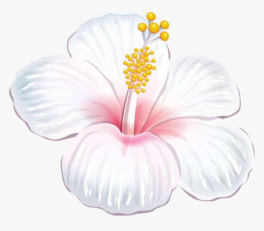 Cafepress White Hibiscus Iphone 6 Slim Case - Flores Moana Png, Transparent Png, Free Download