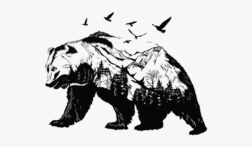 Brown Bear Black And White Polar Bear Tattoo Drawing - Black And White Bear Drawing, HD Png Download, Free Download