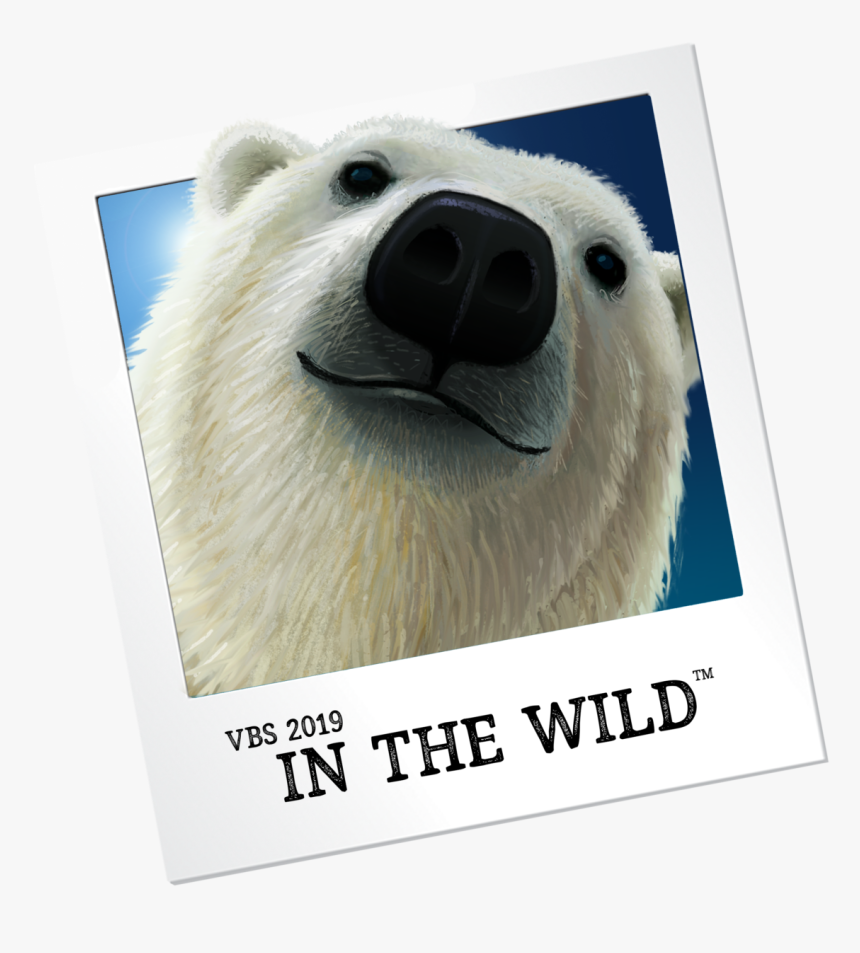 Vbs In The Wild 2019, HD Png Download, Free Download