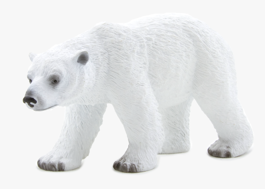 Polar Bear , Png Download - Polar Bear, Transparent Png, Free Download
