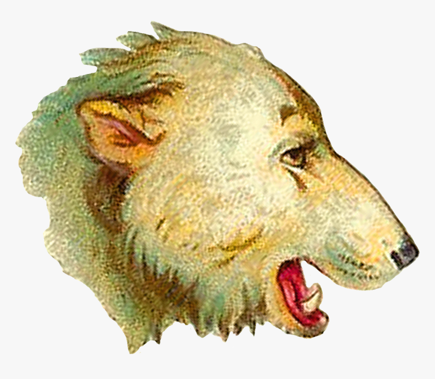 Digital Polar Bear Head Clip Art - Lion, HD Png Download, Free Download