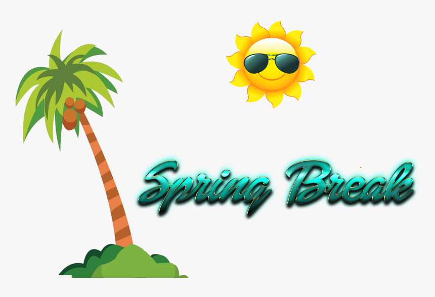 Transparent Spring Break Clipart - Coconut Tree Png Clipart, Png Download, Free Download