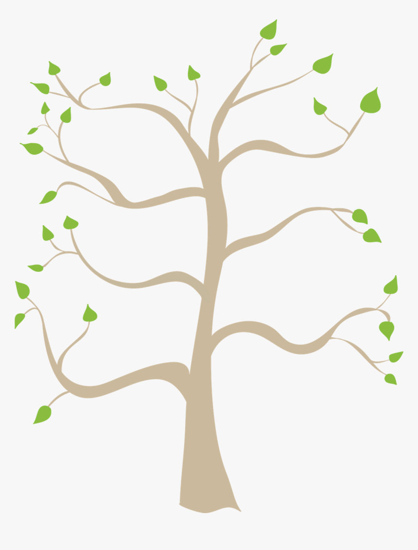Family Tree Related Keywords Png Images Clipart - Branches Of The Military Tree, Transparent Png, Free Download