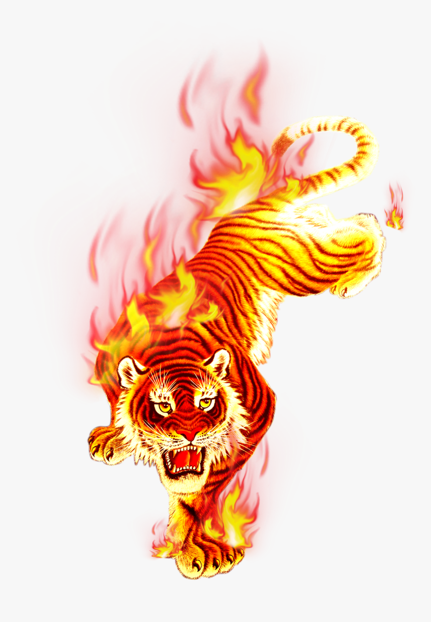 Transparent Png Flame Images - Fire Tiger Png, Png Download, Free Download