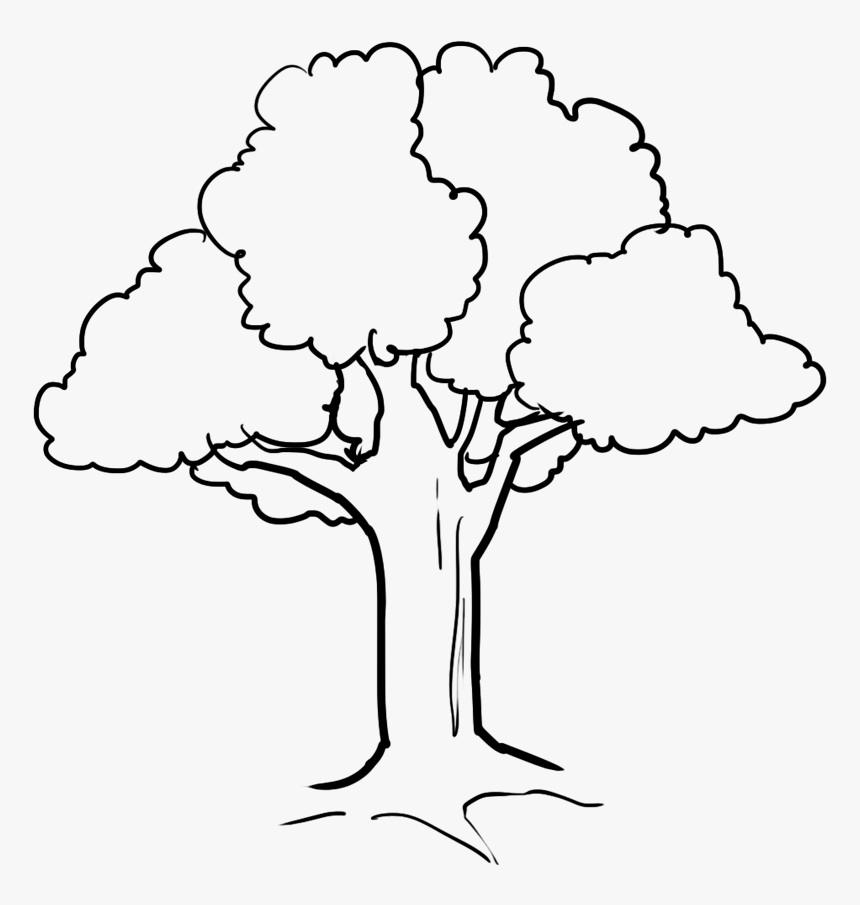 Tree Clipart Black And White Png - Cute Tree Coloring Pages, Transparent Png, Free Download