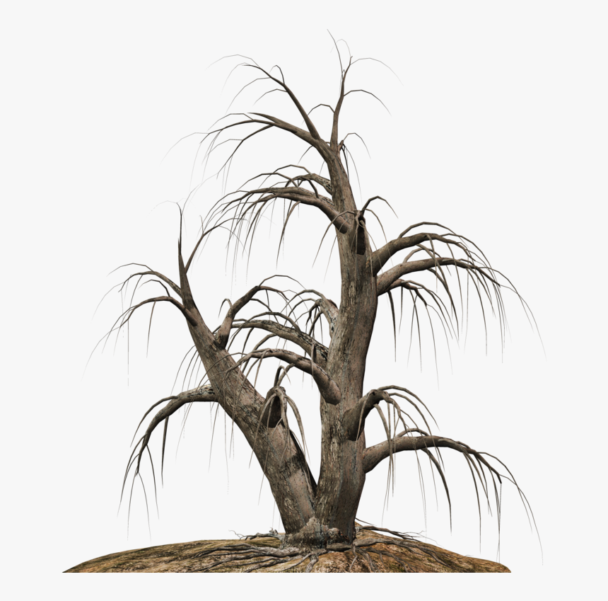 Dead Tree Clipart Desert Png - Portable Network Graphics, Transparent Png, Free Download