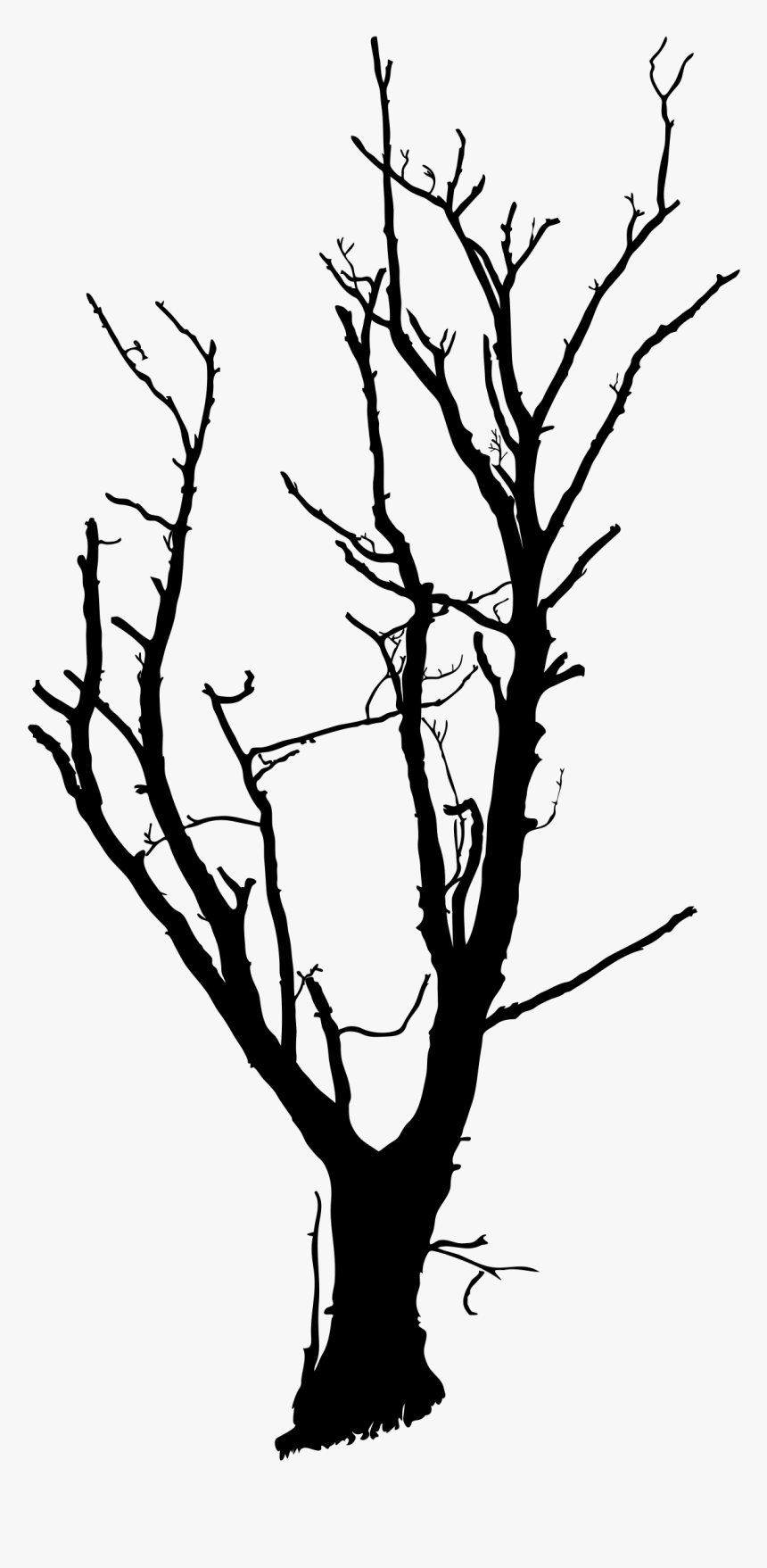 Tree Drawing Branch Clip Art, HD Png Download, Free Download