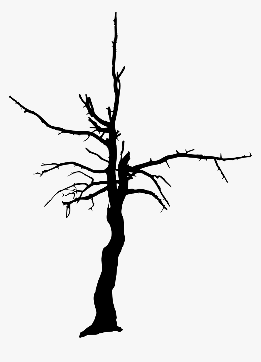 Tree Woody Plant Clip Art - Transparent Background Burnt Trees Silhouette, HD Png Download, Free Download