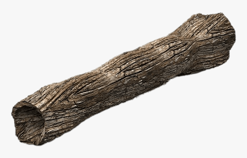 Dead Tree Trunk - Trunk 3d Model Free, HD Png Download, Free Download