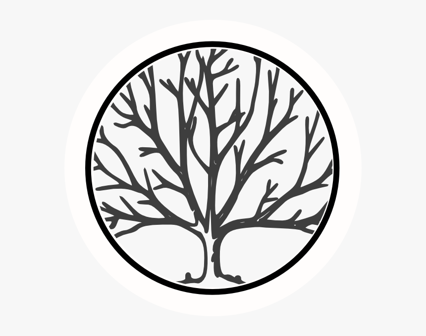 Bare Tree Png Black And White - Role Of Nurses In Assisted Reproductive Techniques, Transparent Png, Free Download