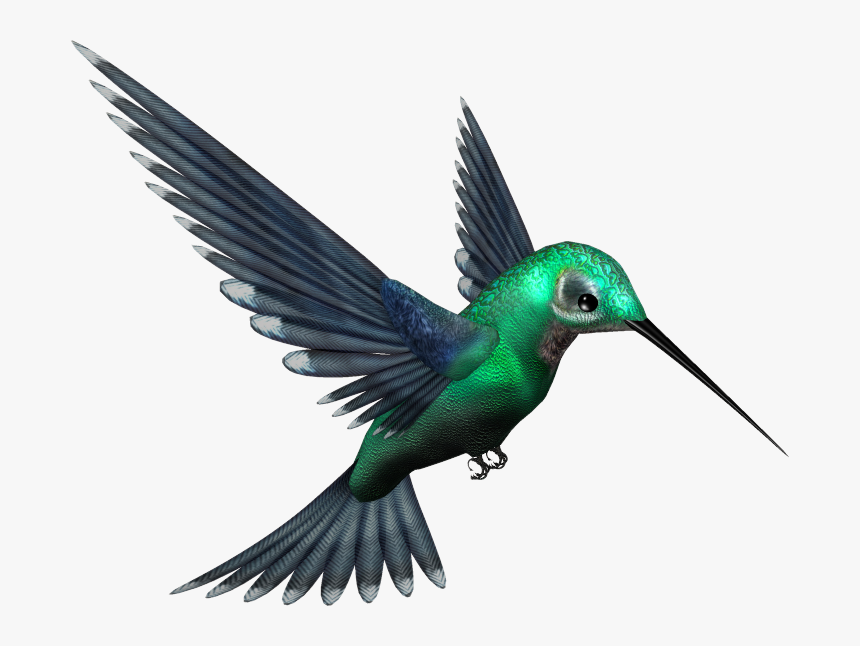 Green Bird Transparent Background, HD Png Download, Free Download