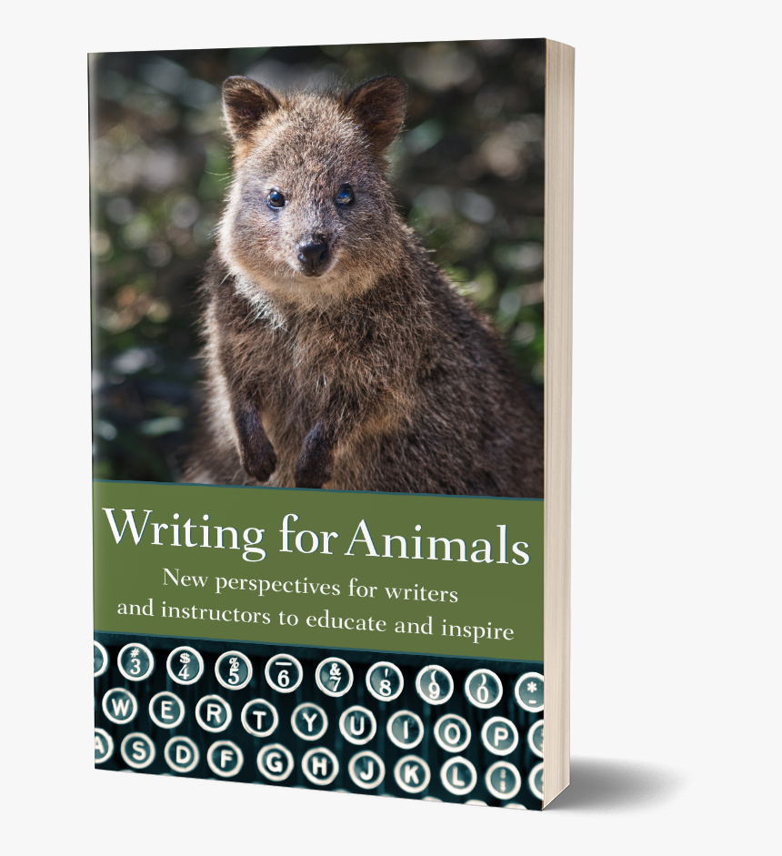 Cover Writing For Animals - Wallaby, HD Png Download, Free Download