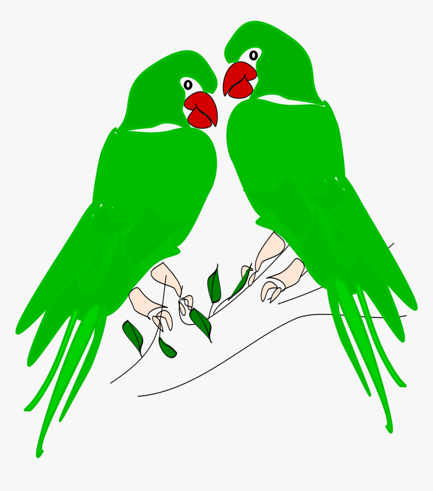 Transparent Parakeet Clipart - Portable Network Graphics, HD Png Download, Free Download