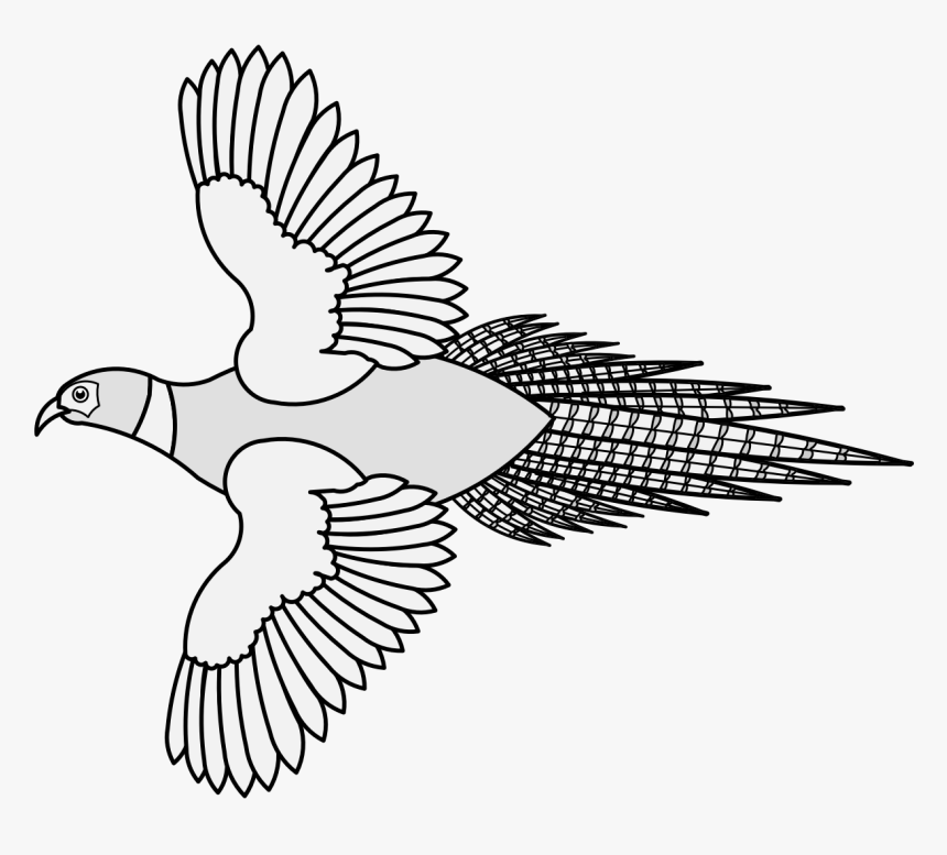 Transparent Doves Flying Png - Pigeons And Doves, Png Download, Free Download