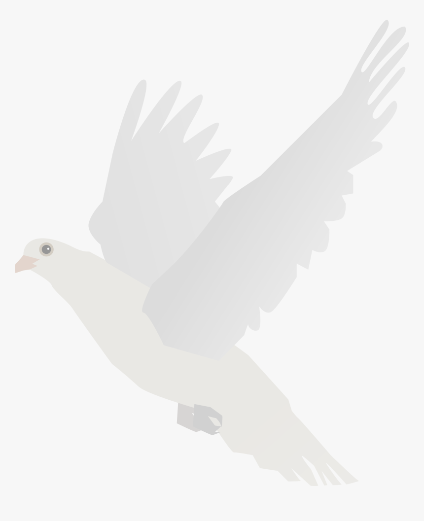 Doves Clipart Feather - Stock Dove, HD Png Download, Free Download