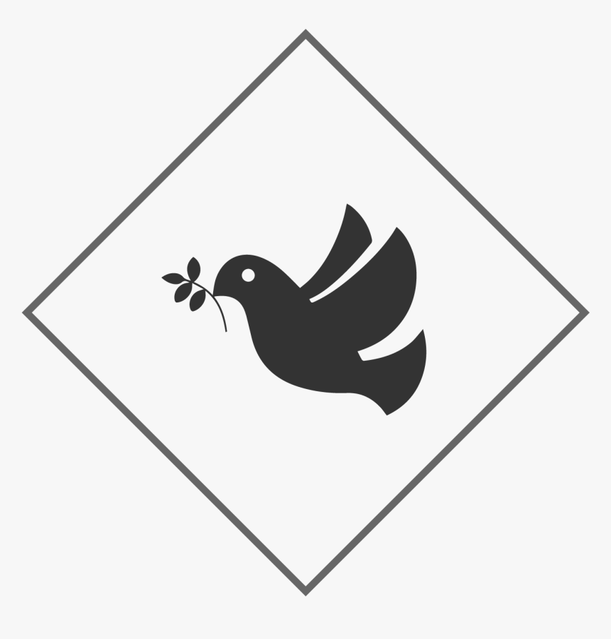Contemporary Worship Service - Pigeons And Doves, HD Png Download, Free Download