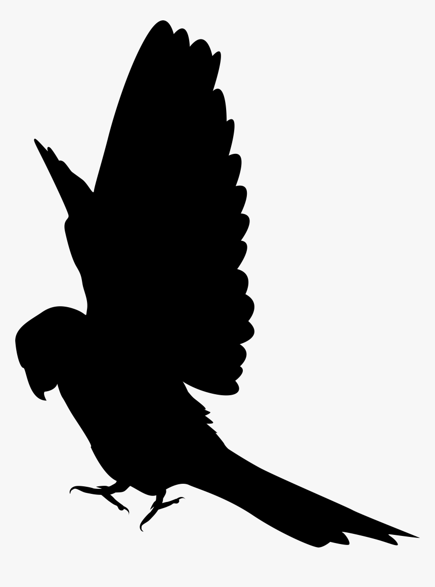 Parrot Bird Silhouette Clip Art, HD Png Download, Free Download