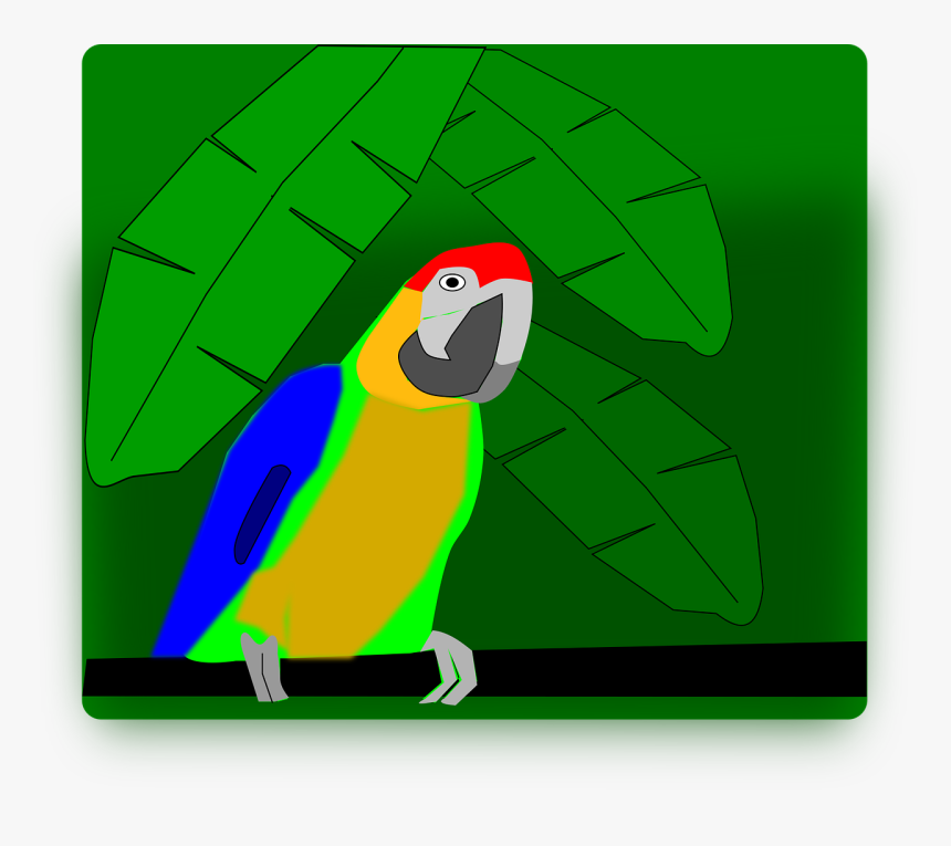 Parakeet, HD Png Download, Free Download