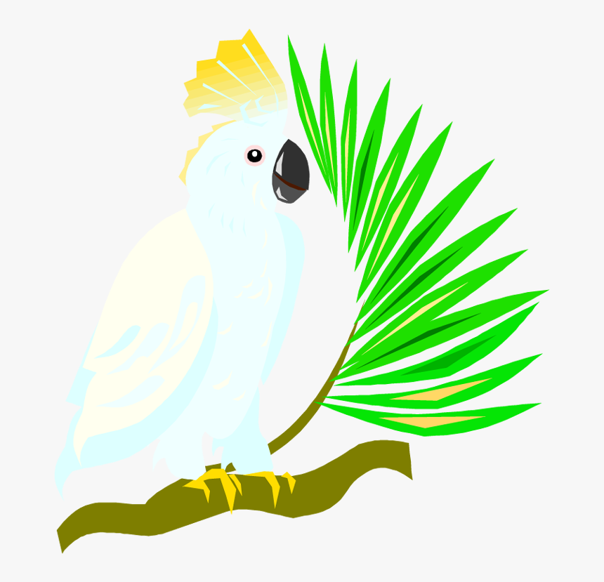 Transparent Parrot Png - Cockatoo Clipart Transparent Background, Png Download, Free Download