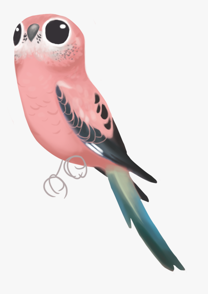 Forest Clipart Parrot - Animated Bourke Parrot, HD Png Download, Free Download