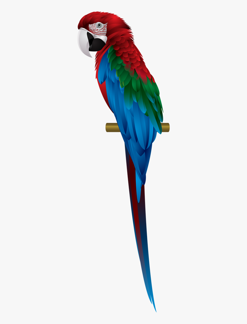 Macaw - Blue And Red Macawpng, Transparent Png, Free Download