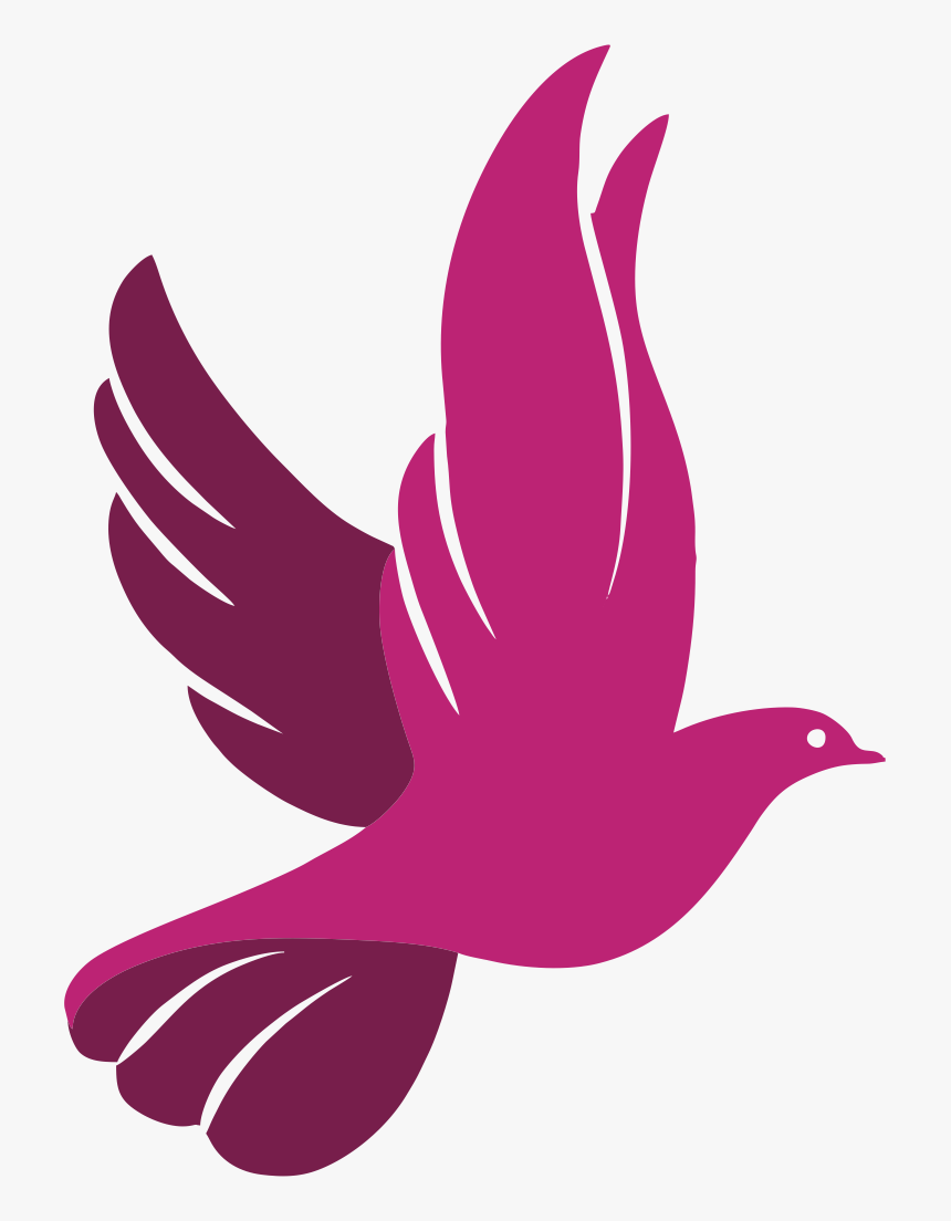 More Pankh , Png Download - Dove Icon Png, Transparent Png, Free Download