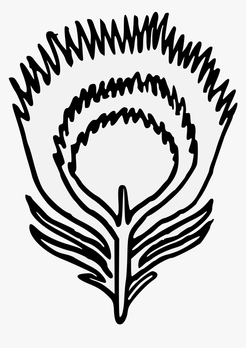 Peacock Feather Logo Png, Transparent Png, Free Download