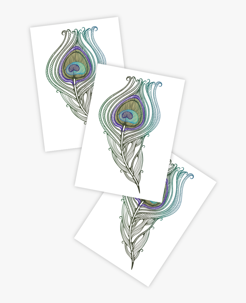 Transparent Peacock Feather Clipart - Sketch, HD Png Download, Free Download