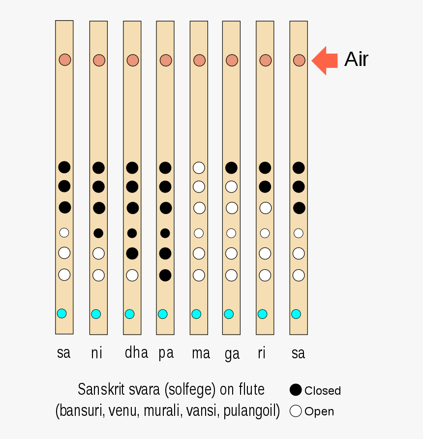 Bansuri Flute Notes - Sa Re Ga Ma Pa In Flute, HD Png Download, Free Download