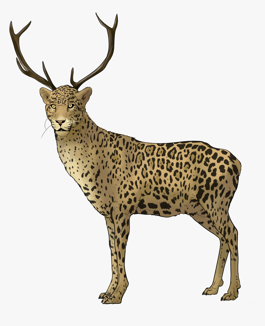 Reindeer , Png Download - Antler, Transparent Png, Free Download