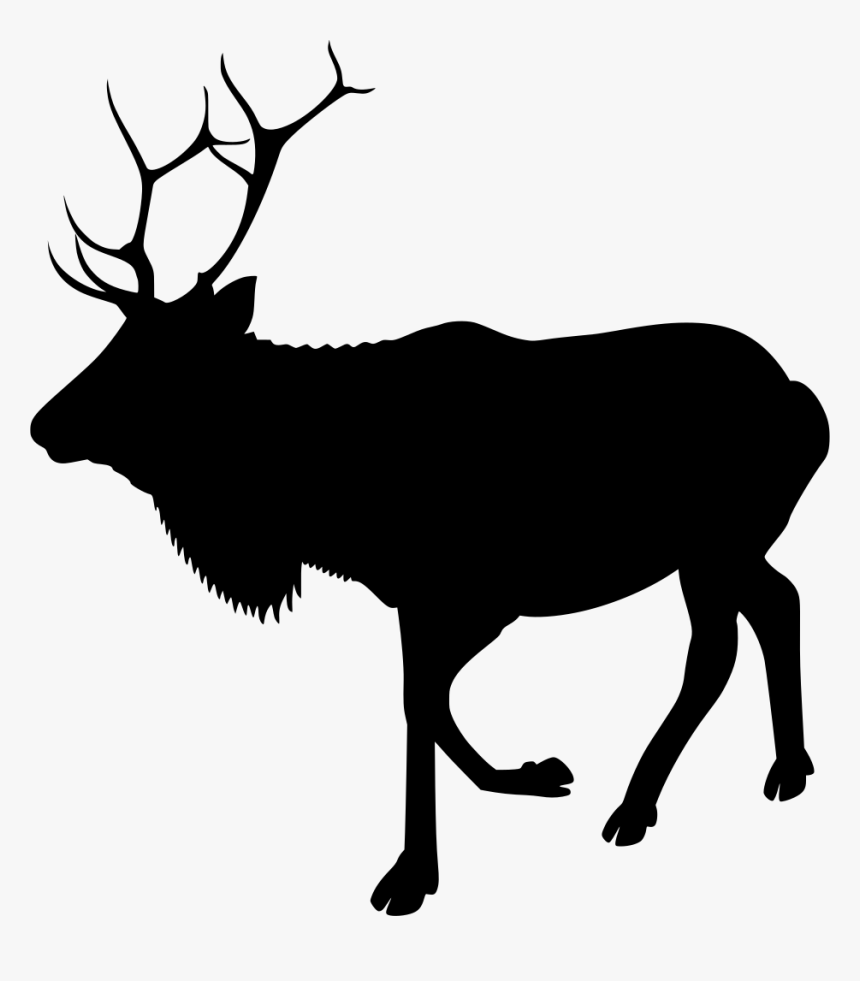 Real Reindeer Clipart, HD Png Download, Free Download