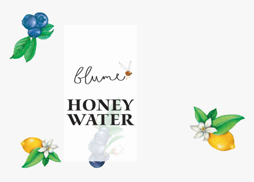 Avec Site Blume Hero Overlay - Gardenia, HD Png Download, Free Download