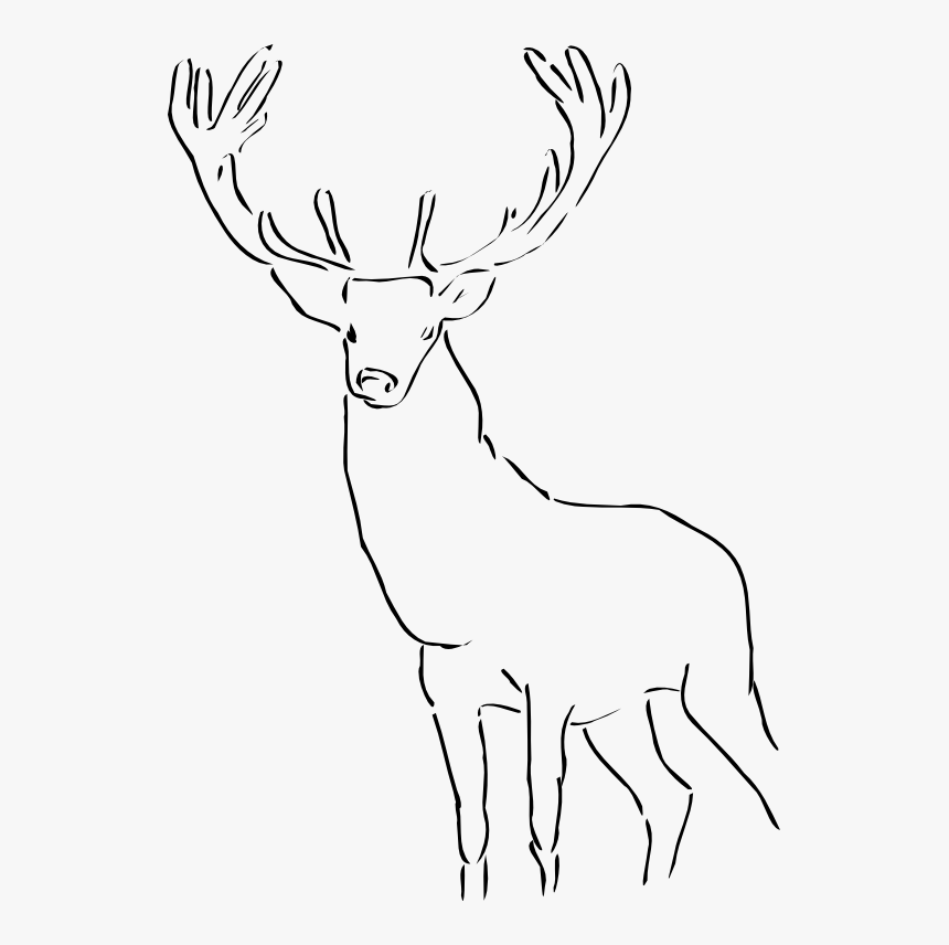 Reindeer Raindeer Stag Black White Line Animal Grumbones - Outline Images Of Wild Animals, HD Png Download, Free Download