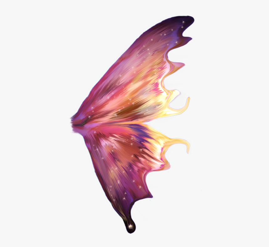 Fairy Wings Transparent Png, Png Download, Free Download