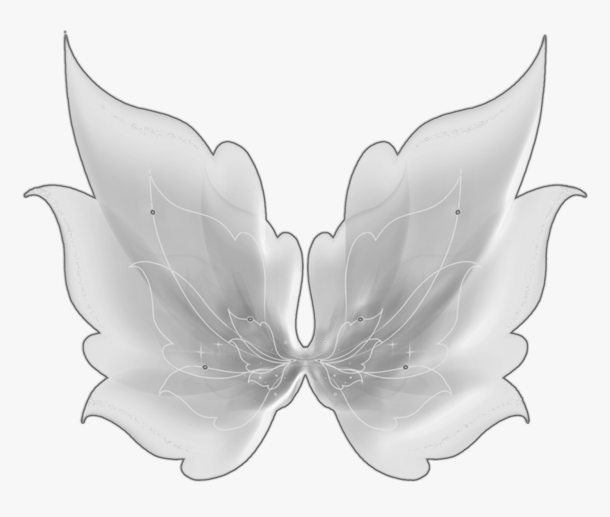 Fairy Wings Png Photo - Illustration, Transparent Png, Free Download